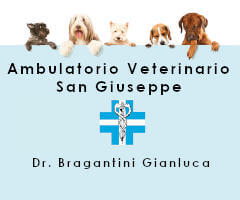 logo ambulatorio veterinario san giuseppe
