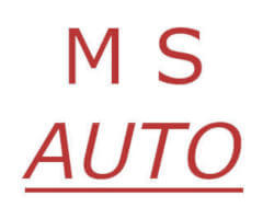 logo ms auto