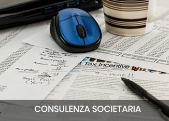 consulenza societaria