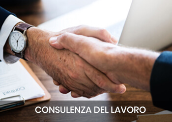 consulenza del lavoro